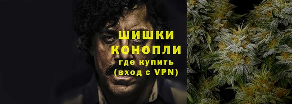 дживик Зеленодольск