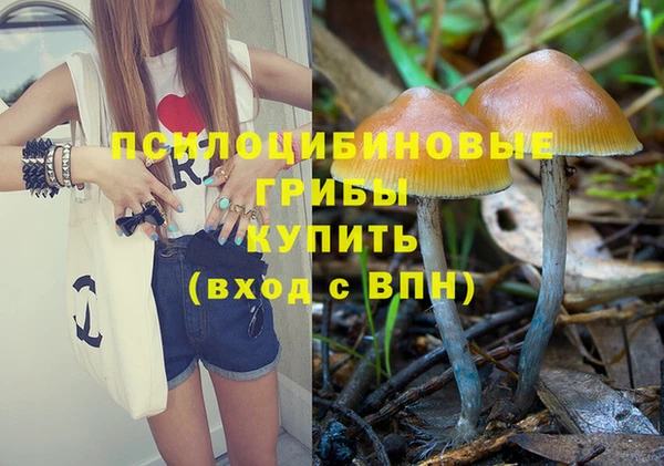 шишки Магадан