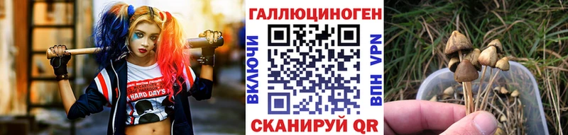 Псилоцибиновые грибы мухоморы Котово